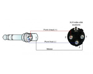 location jack vers XLR male