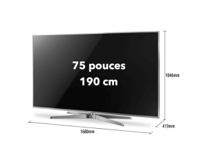 location écran LED 75 pouces Full HD 190cm