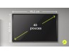 location moniteur  PRO 43\'\' portrait/paysage