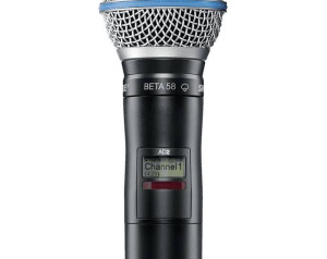 location paire micros SHURE...